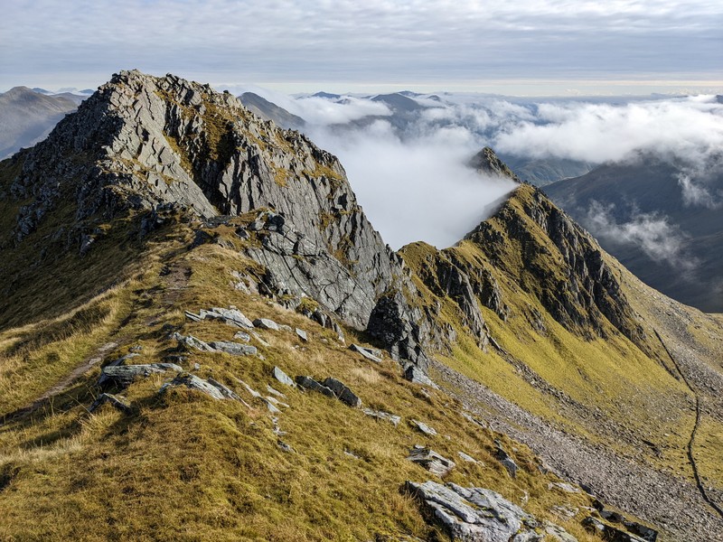 The Saddle